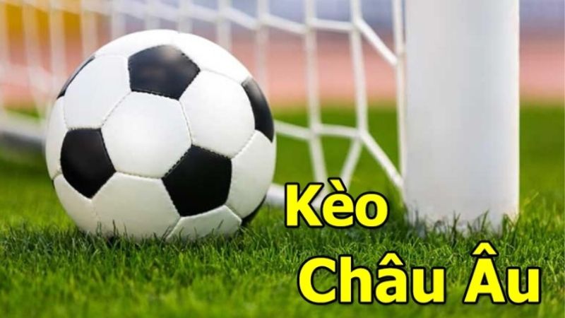 Sgroup Hướng Dẫn Đọc Kèo Bóng Đá Chuẩn Trên Trang Cá Độ