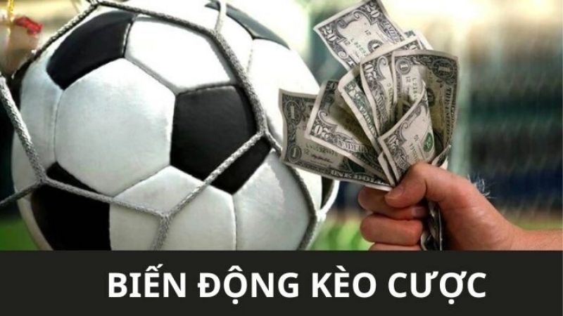 Sgroup Hướng Dẫn Đọc Kèo Bóng Đá Chuẩn Trên Trang Cá Độ