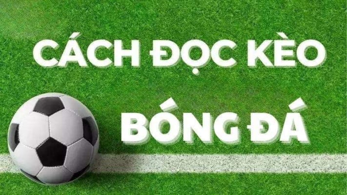 Sgroup Hướng Dẫn Đọc Kèo Bóng Đá Chuẩn Trên Trang Cá Độ