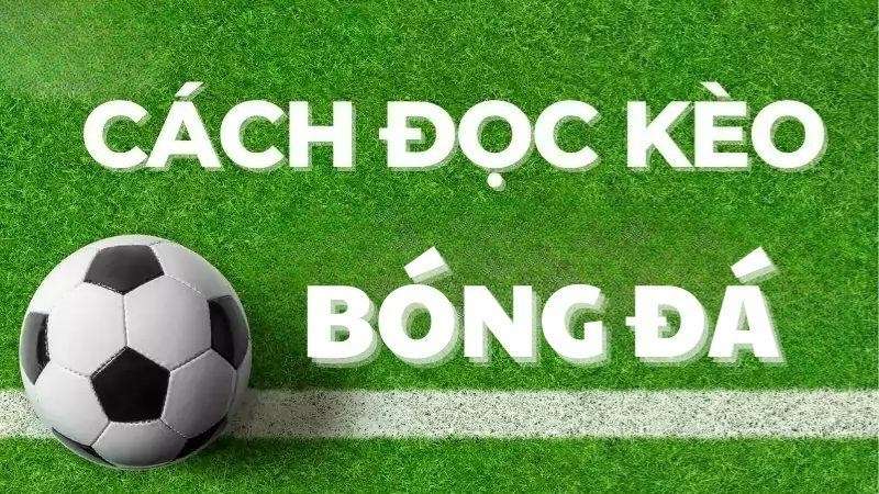 Sgroup Hướng Dẫn Đọc Kèo Bóng Đá Chuẩn Trên Trang Cá Độ
